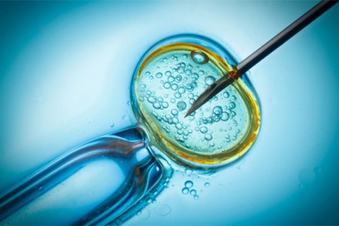 http://qingdao.qqkaixin.com/post/199.html|青岛供卵助孕