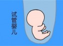 青岛代怀孕初期孕酮值为13ngml，医生说偏低，那正常值是多